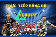 Vebotv – kênh chia sẻ bóng đá cực chất không thể bỏ qua